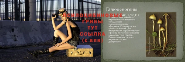 молекула духа Лиски