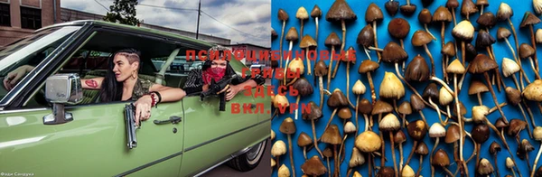 молекула духа Лиски