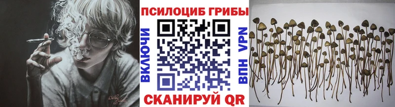 Псилоцибиновые грибы ЛСД  Купить закладки  Цоци-Юрт